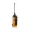 BD616