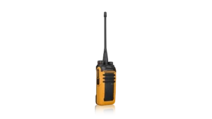 BD616